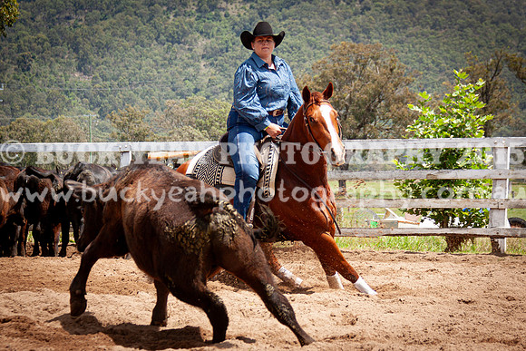 Vacy 24-442