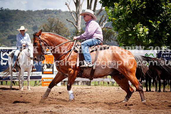 Vacy 24-526