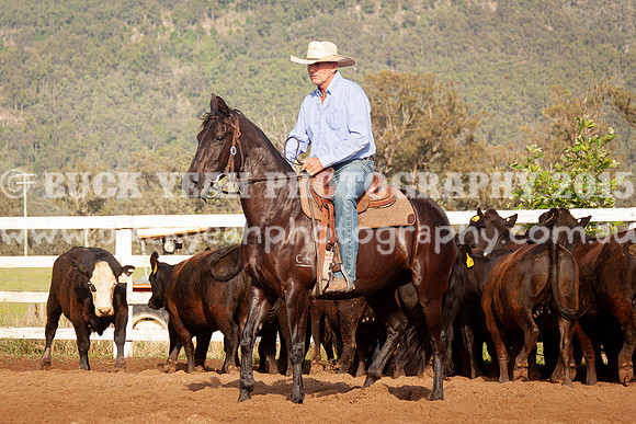 Vacy 24-27
