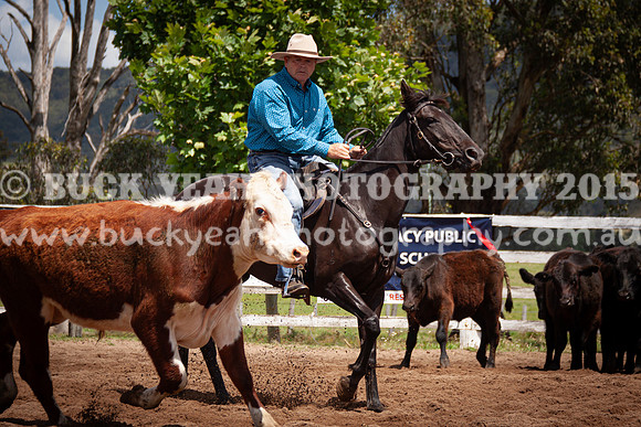 Vacy 24-367