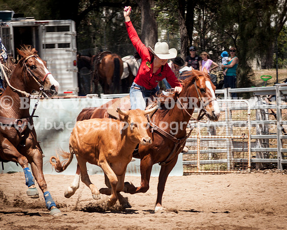 Muswellbrook-272