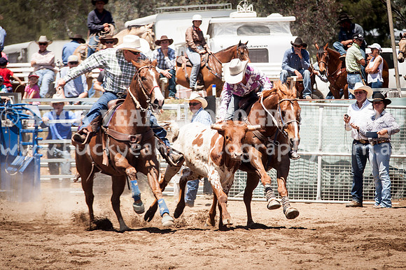 Muswellbrook-266