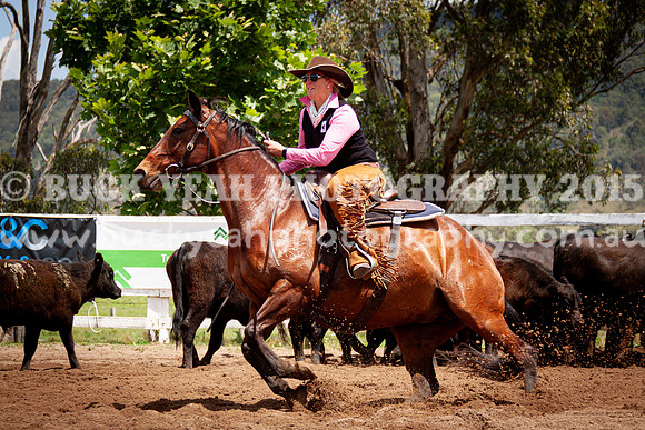 Vacy 24-435