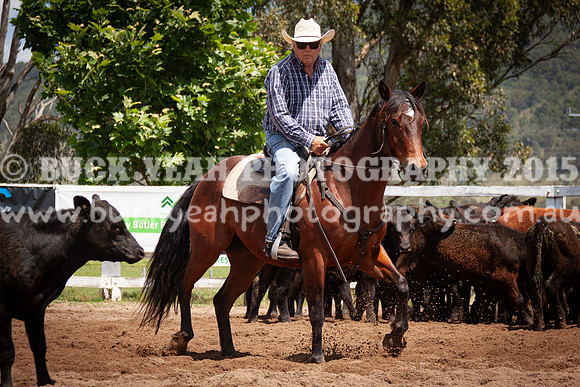Vacy 24-388