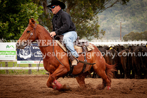 Vacy 24-289
