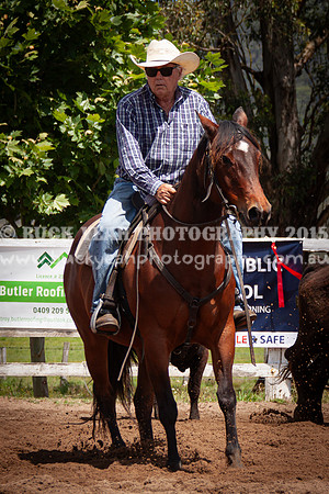 Vacy 24-383