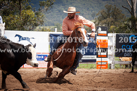 Vacy 24-557