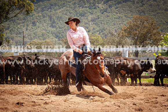 Vacy 24-594