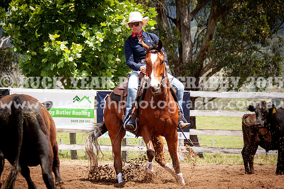Vacy 24-467