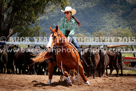 Vacy 24-535