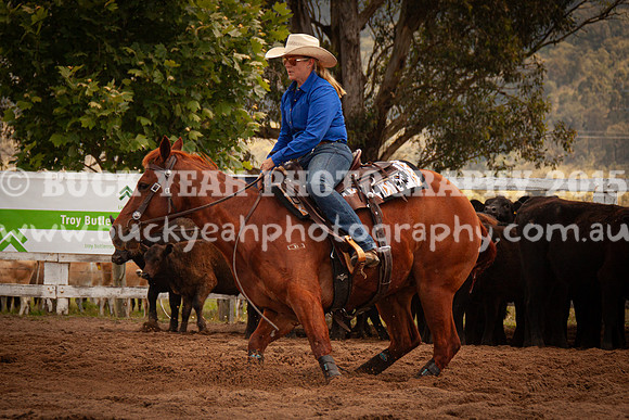 Vacy 24-608