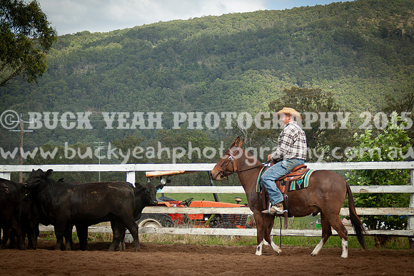 Vacy 24-162