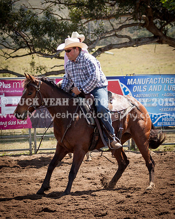Vacy 1419