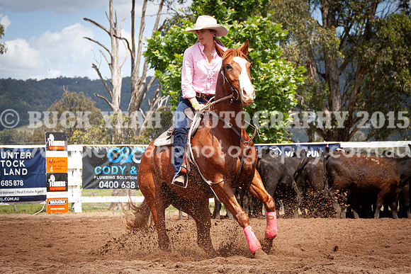 Vacy 24-321