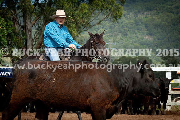 Vacy 24-158