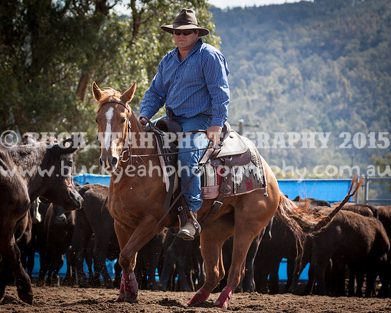 Vacy 1414