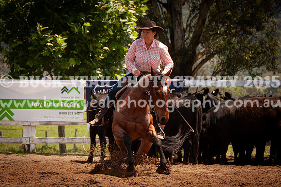 Vacy 24-597