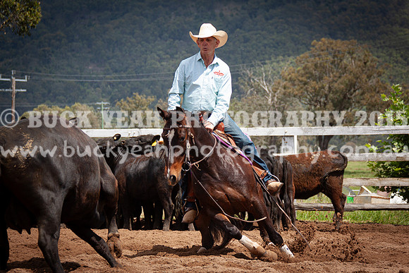 Vacy 24-341