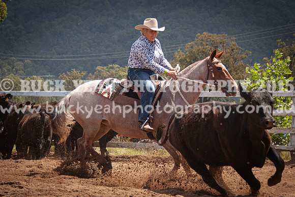 Vacy 24-627