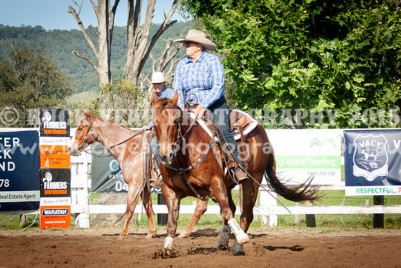 Vacy 24-66