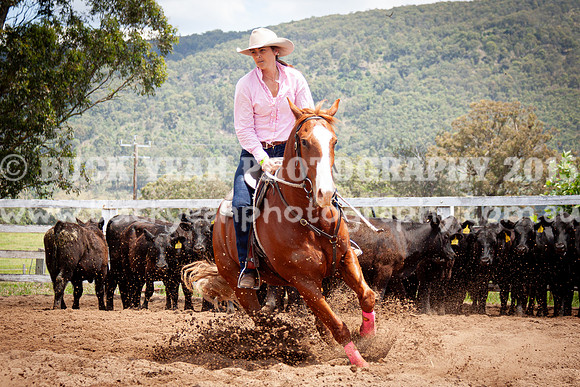 Vacy 24-464