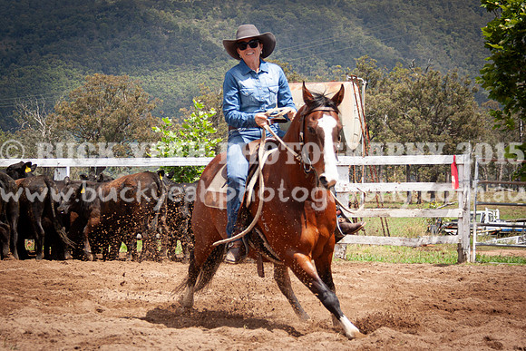 Vacy 24-343