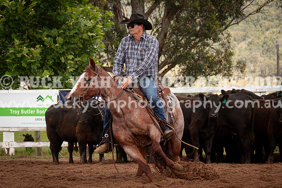 Vacy 24-254