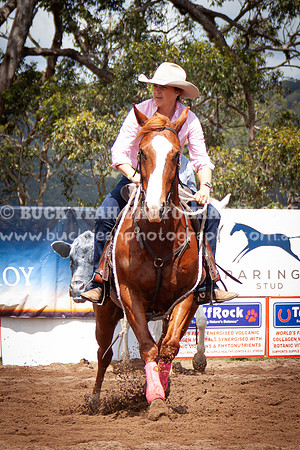 Vacy 24-320