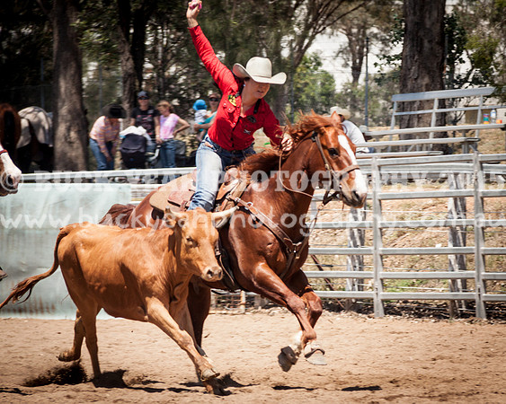 Muswellbrook-273