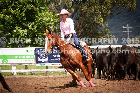 Vacy 24-324