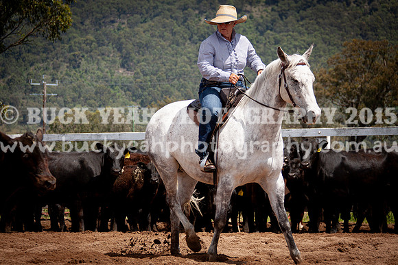 Vacy 24-419