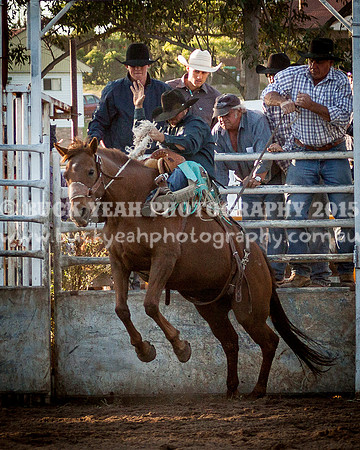 Muswellbrook Saddle 14