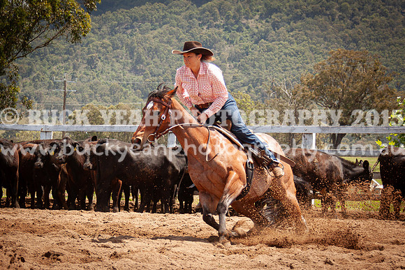 Vacy 24-595
