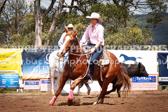 Vacy 24-319