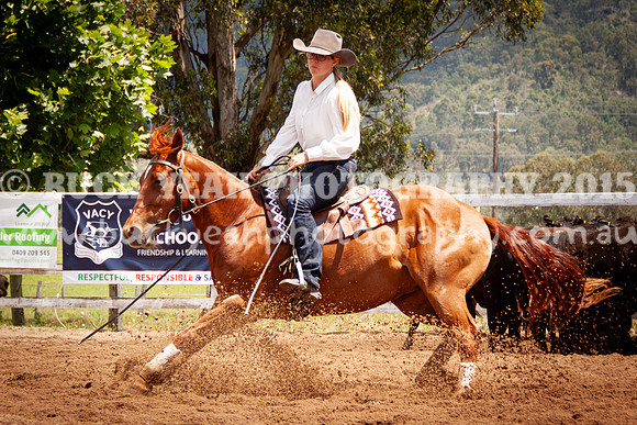 Vacy 24-501