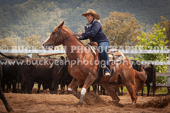 Vacy 24-616