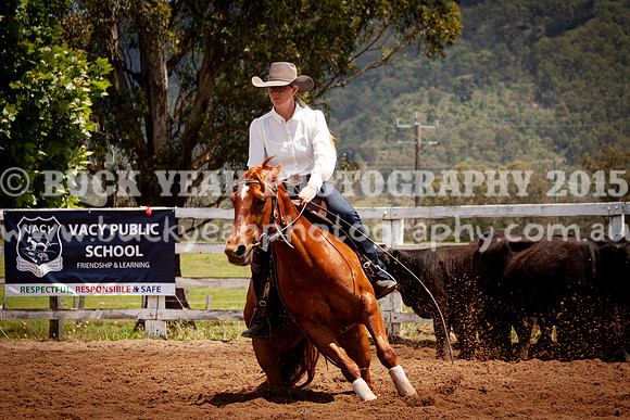 Vacy 24-504