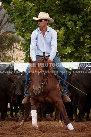 Vacy 24-204