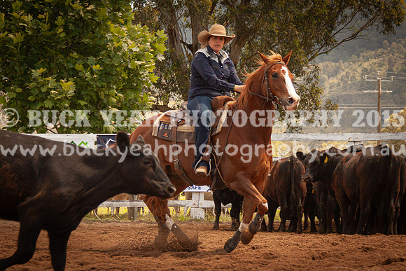 Vacy 24-615